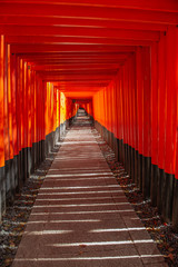  Fushimi Inari Taisha, Kyoto Japan.