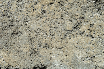 Uneven texture of sawdust with concrete