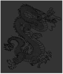 Hand drawn Silhouette dragon.Chinese dragon tattoo.Black and white Traditional Japanese dragon.Dragon coloring book.