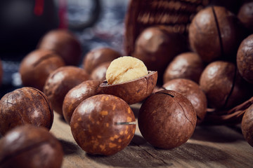 Macadamia fruit