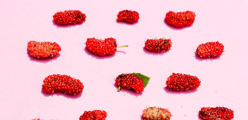 Organic Red mulberry . Mulberry fruit in summertime. Fresh Mulberry,selective focus,berries on pink background