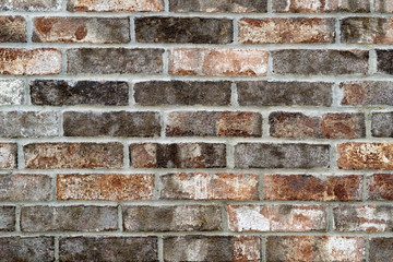 A fragment of the exterior wall of the house.