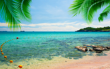Summer vacation of tropical beach with palm trees