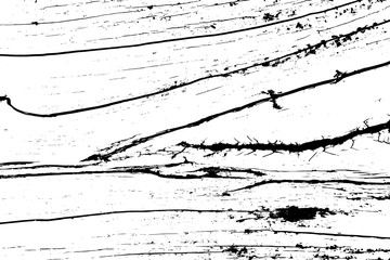 Grunge black and white color wood textured background for decoration
