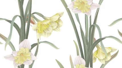 Poster Floral seamless pattern, daffodil flowers with leaves on white © momosama