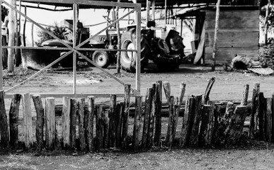 Desde el Patio de Bolas