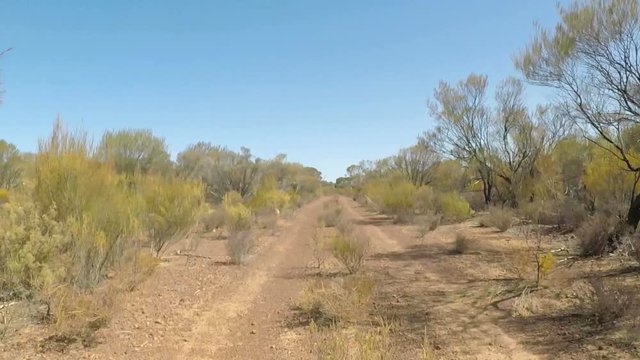 Ride through the bushland in the outback. Australia, Western Australia