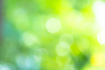 Abstract background Natural green bokeh