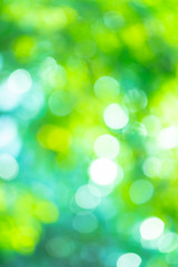 Obraz premium Abstract background Natural green bokeh