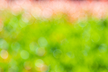 Fototapeta premium Bokeh background With natural light, green, yellow with blurred