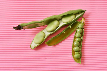 ソラマメとグリーンピース
