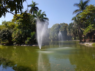 Small fountains in the Papagayo Park pond and several trees