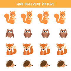 Find animal in reach row which is different from others.