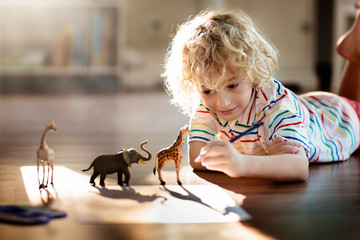 Little boy shadow drawing animals.