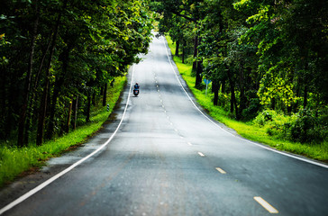 asphalt road with green forest and blur motercycle