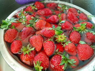 washing strawberries in a bowl fresh red ripe