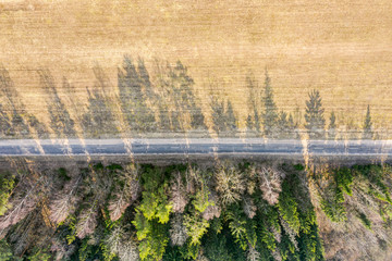 country road going through among green forest and plowed agricultural field. top view aerial photo from flying drone