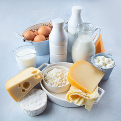 Different types of dairy products