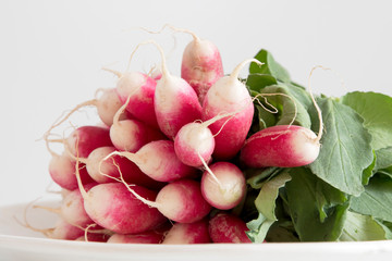 Close-up of a bunch of fresh radishes
