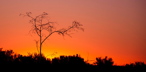 Obraz na płótnie Canvas Sunset over the outback Australia