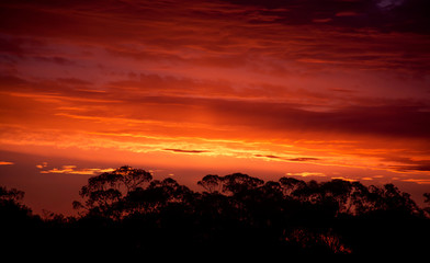 Sunset over the outback Australia