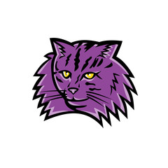 Sports mascot icon illustration of head of a Norwegian Forest Cat, a breed of domestic cat originating in Northern Europe viewed from front on isolated background in retro style.