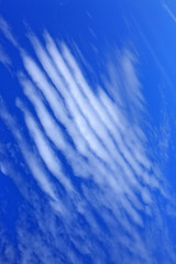 Blue sky with cloud closeup.