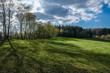 landscape with trees