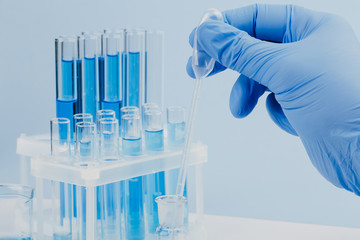 scientific laboratory equipment. hands of a scientific researcher in blue gloves