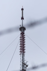 TV antenna