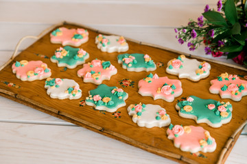 A tray of multi-colored vanilla cookies decorated with cream flowers