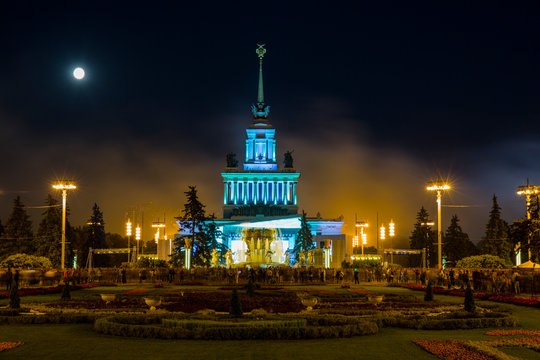 fireworks in the night sky
