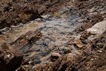 Mossy Point Australia, view into a rock pool along the beach