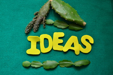 napis ideas © czany