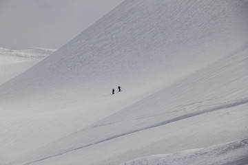 起伏のある雪山に二人のスキーヤーがいる風景