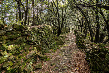 Sentier vers Casteljau en Ardèche