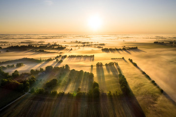 Aerial view of fields and trees under with fog