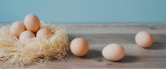egg  卵