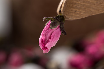 Rose Tea
