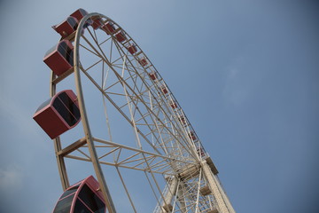 Ferris wheel in the park