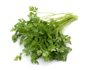 ハーブ　チャービル