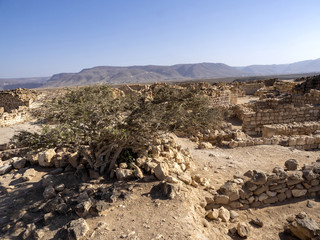 Ruins of the old town of Khor Rori, on the Silk Road. Oman