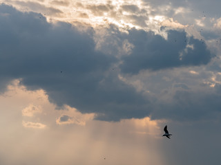 Dark sky with heavy and rainy clouds.