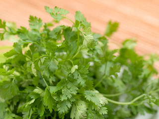 ハーブ　チャービル