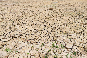 dry cracked earth