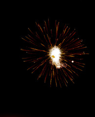Colorful fireworks on the black sky background.