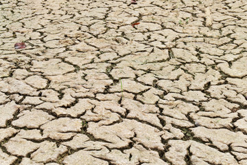 dry cracked earth