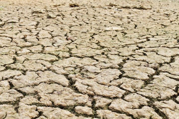 dry cracked earth