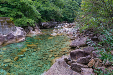 Forest river landscape with fresh clear water and rocks