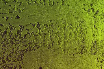 lime vivid style highlighted volumetric stucco texture - pretty abstract photo background